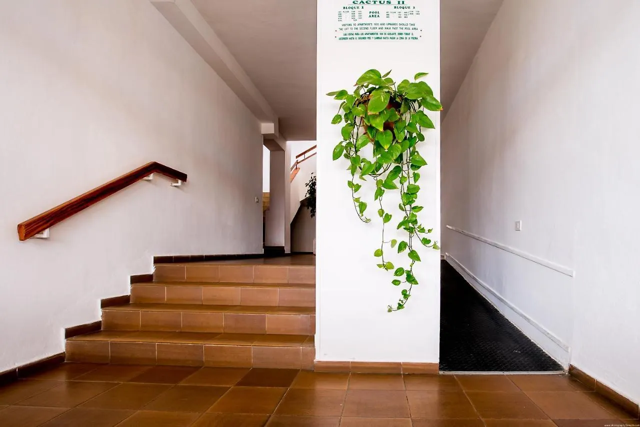 Apartmento Cactus II Los Cristianos  0*, Los Cristianos (Tenerife)